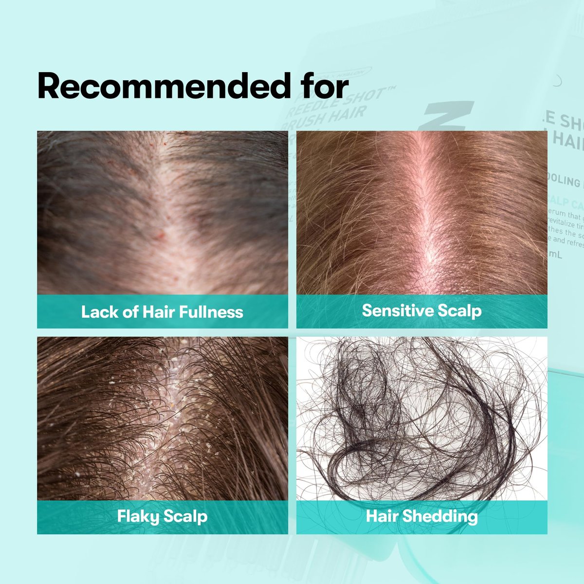 VT COSMETICS PDRN Reedle Shot Brush Hair Serum – Cooling & Refreshing Scalp Care with Vegan PDRN, Caffeine & Spicule Complex, Lightweight & Non-Greasy Daily Scalp Solution, 3.38 fl oz / 100 mL Avelisse