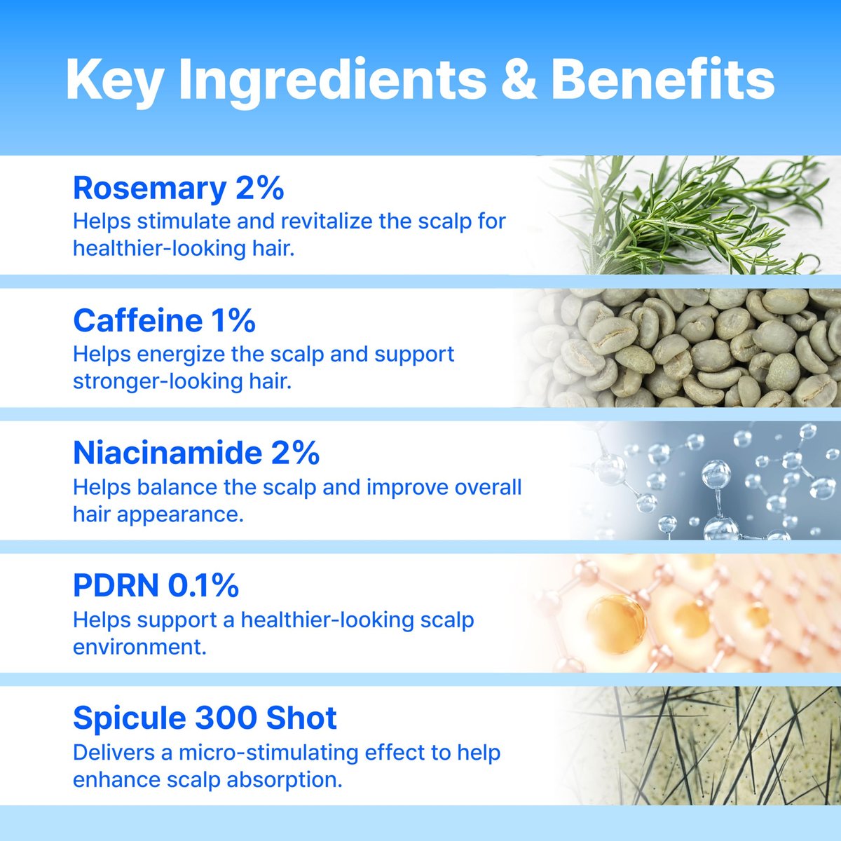 9-Peptide Hair Growth Scalp Care Serum 1.35 Oz (2X Size) - Rosemary 2% Caffeine 1% PDRN & Spicule 300 Roll-On Type | Thicker Fuller-Looking Hair with Niacinamide Zinc PCA | Thinning Hair Korean Haircare Avelisse