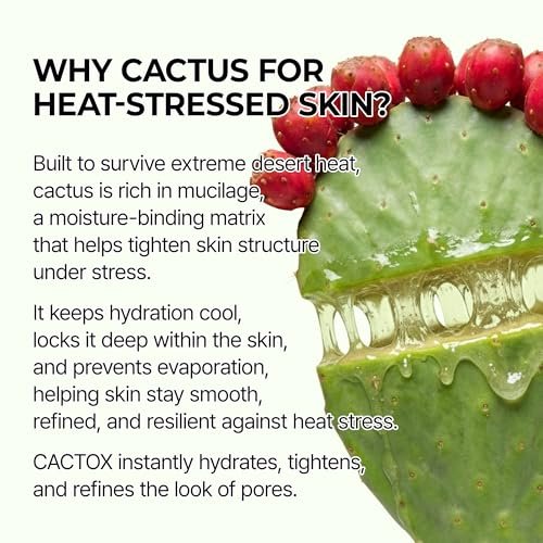 Dr.Melaxin Cactox Pore Relief Jelly Toner Pads – Cooling & De-Puffing Exfoliating Toner Pads for Enlarged Pores & Puffy Skin, Hydrating Korean Toner Pads with Cactus Extract & PHA, 60 Pads (170ml) Avelisse
