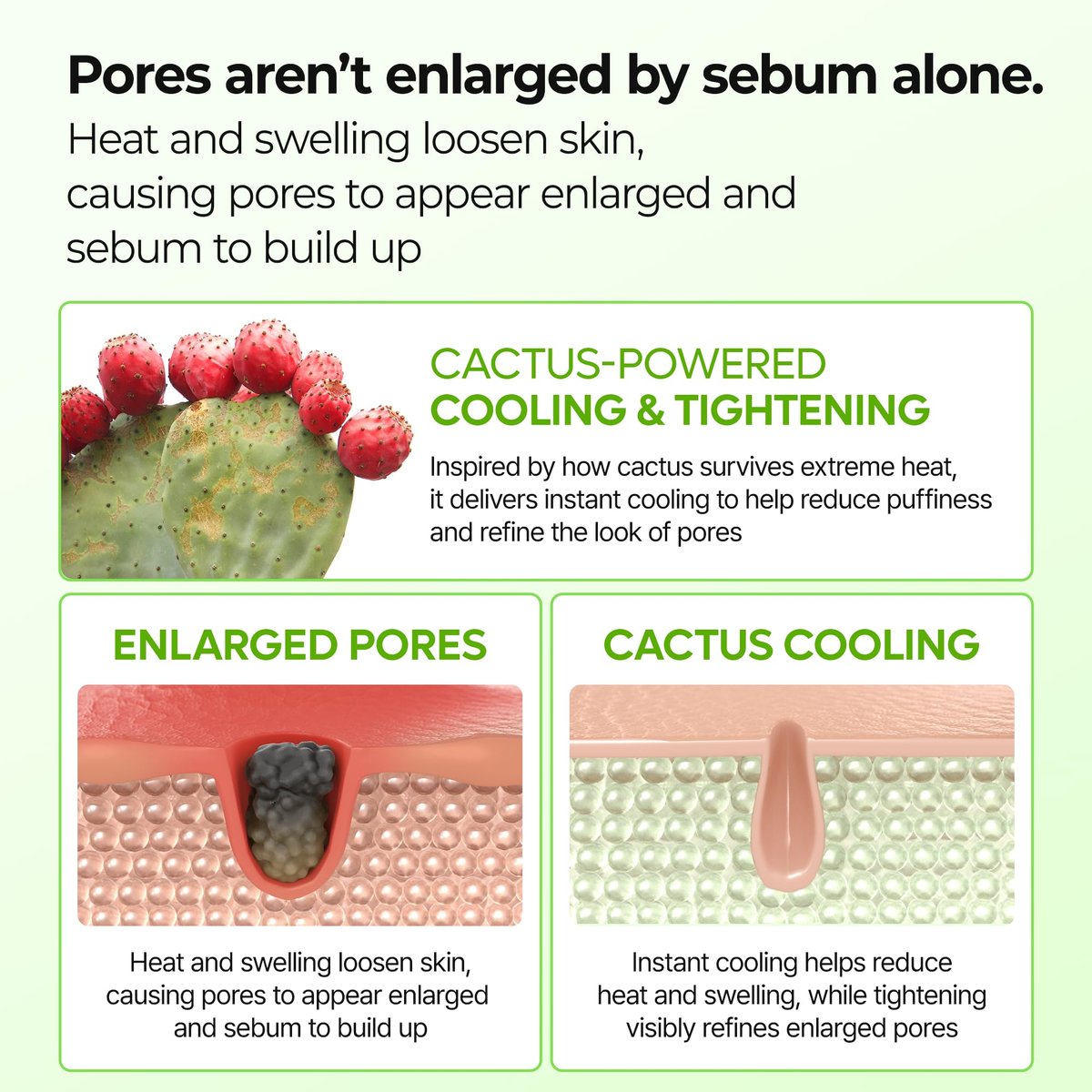 Dr.Melaxin Cactox Pore Relief Jelly Toner Pads – Cooling & De-Puffing Exfoliating Toner Pads for Enlarged Pores & Puffy Skin, Hydrating Korean Toner Pads with Cactus Extract & PHA, 60 Pads (170ml) Avelisse