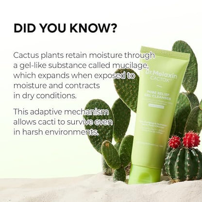 Dr.Melaxin Cactox Pore Relief Gel Cleanser - Hydrating Gel-to-Foam Facial Cleanser for Pore Cleansing and Enlarged-Looking Pores, 120ml Avelisse