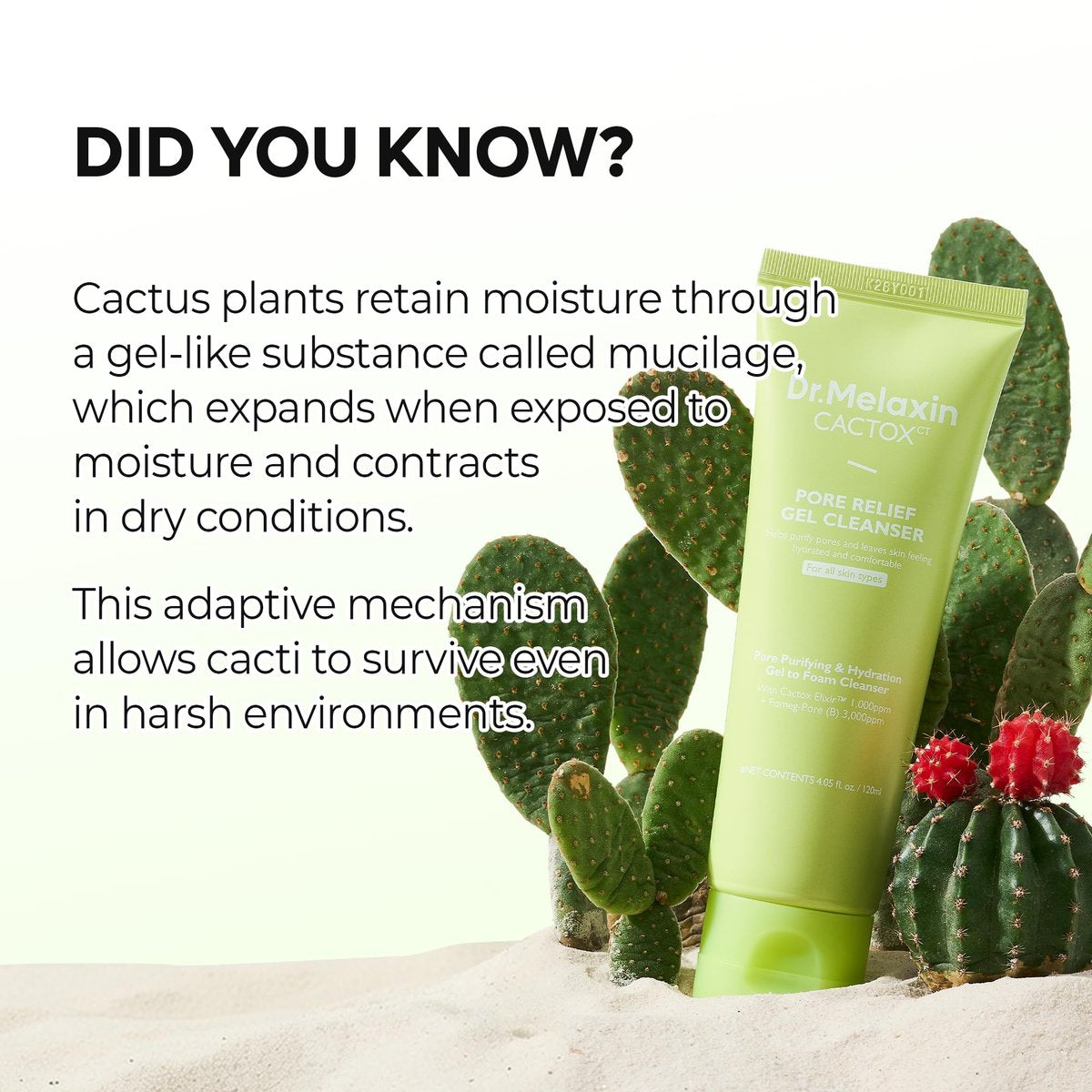 Dr.Melaxin Cactox Pore Relief Gel Cleanser - Hydrating Gel-to-Foam Facial Cleanser for Pore Cleansing and Enlarged-Looking Pores, 120ml Avelisse