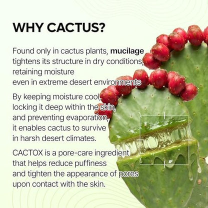 Dr.Melaxin Cactox Pore Relief Jelly Serum Mist - Instant Cooling Face Mist for Pore Tightening & De-Puffing, Hydrating Cactus Serum for Puffy Skin, 80ml (2.7 fl oz) Avelisse