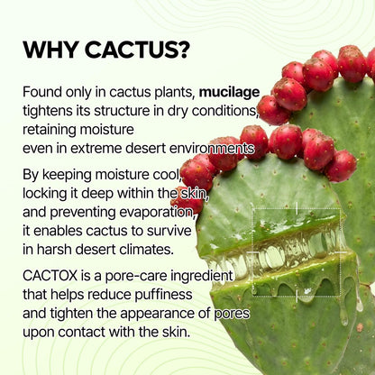 Dr.Melaxin Cactox Pore Relief Jelly Serum Mist - Instant Cooling Face Mist for Pore Tightening & De-Puffing, Hydrating Cactus Serum for Puffy Skin, 80ml (2.7 fl oz) Avelisse