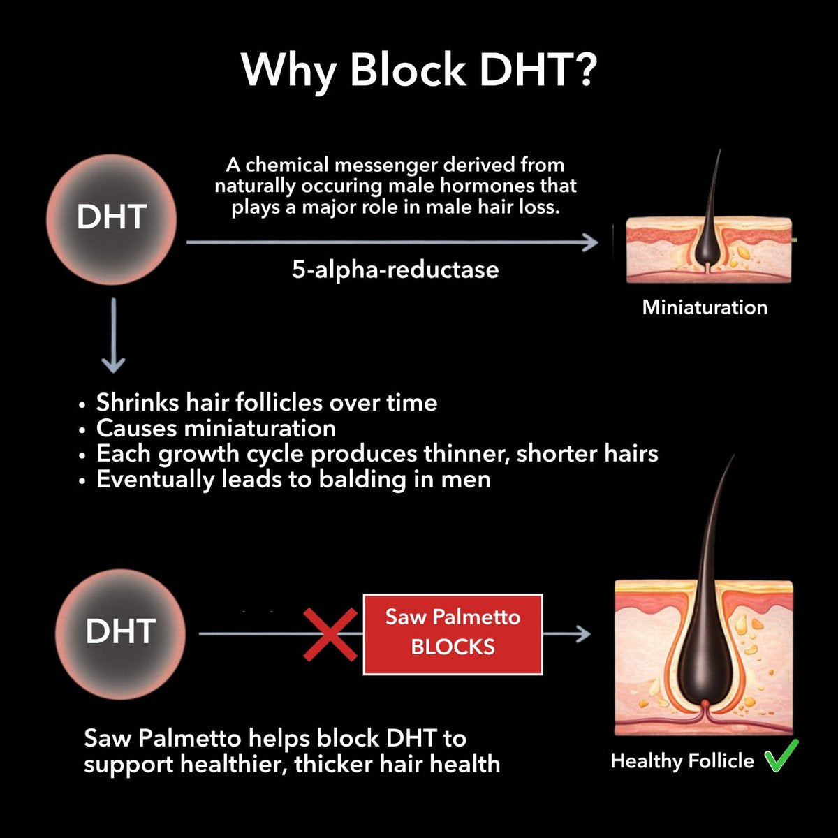 DHT Blocker for Men with Biotin 10000mcg - Saw Palmetto & MSM for Healthy Hair Growth - Vegan, Non-GMO, Gluten Free - 30 Servings - görsel 10