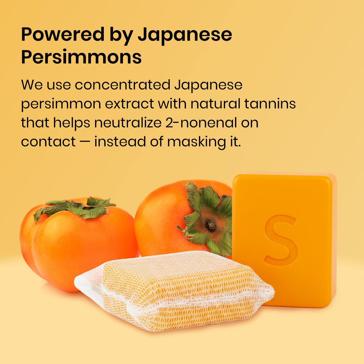 Swarva Japanese Persimmon Cleanser Bar 2-Pack – Natural Body Odor Solution for Old People Smell, Antibacterial & Organic Skin Care Avelisse