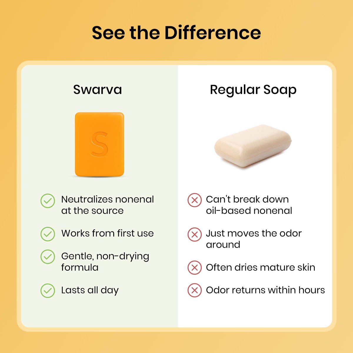 Swarva Japanese Persimmon Cleanser Bar 2-Pack – Natural Body Odor Solution for Old People Smell, Antibacterial & Organic Skin Care Avelisse