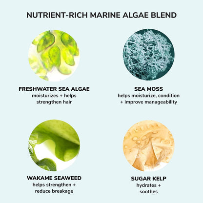 COLOR WOW Money Laundering Glossing Conditioner - Anti-Frizz & Shine-Enhancing Hair Glaze, 8.4 fl oz Avelisse