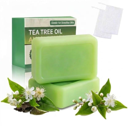 2 Pack Tea Tree Soap - Antifungal Soap for Men & Women, Tea Tree Oil Soap Bar for Foot & Body, Plant-Based Exfoliating & Non-Drying, Includes Foaming Net (4 oz Each)
