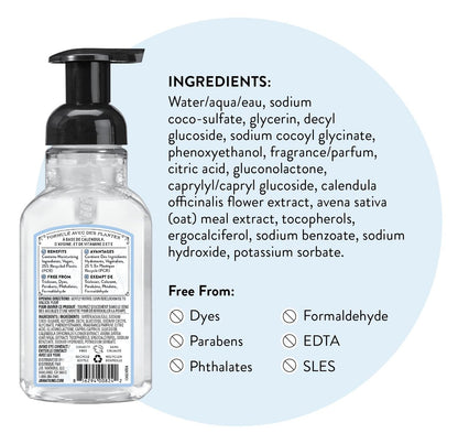 J.R. Watkins Foaming Hand Soap with Pump Dispenser, Moisturizing Foam Hand Wash, Alcohol-Free, Cruelty-Free, Ocean Breeze, 9 fl oz, 3 Pack Avelisse