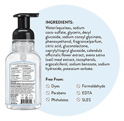 J.R. Watkins Foaming Hand Soap with Pump Dispenser, Moisturizing Foam Hand Wash, Alcohol-Free, Cruelty-Free, Ocean Breeze, 9 fl oz, 3 Pack Avelisse