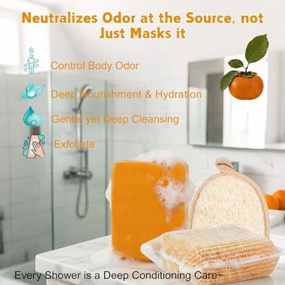 Natural Japanese Persimmon Soap 2-Pack with Exfoliating Loofah Pad & Foaming Nets – Deodorizing Body Soap for Senior & Body Odor, Mild for Most Skin Types Avelisse