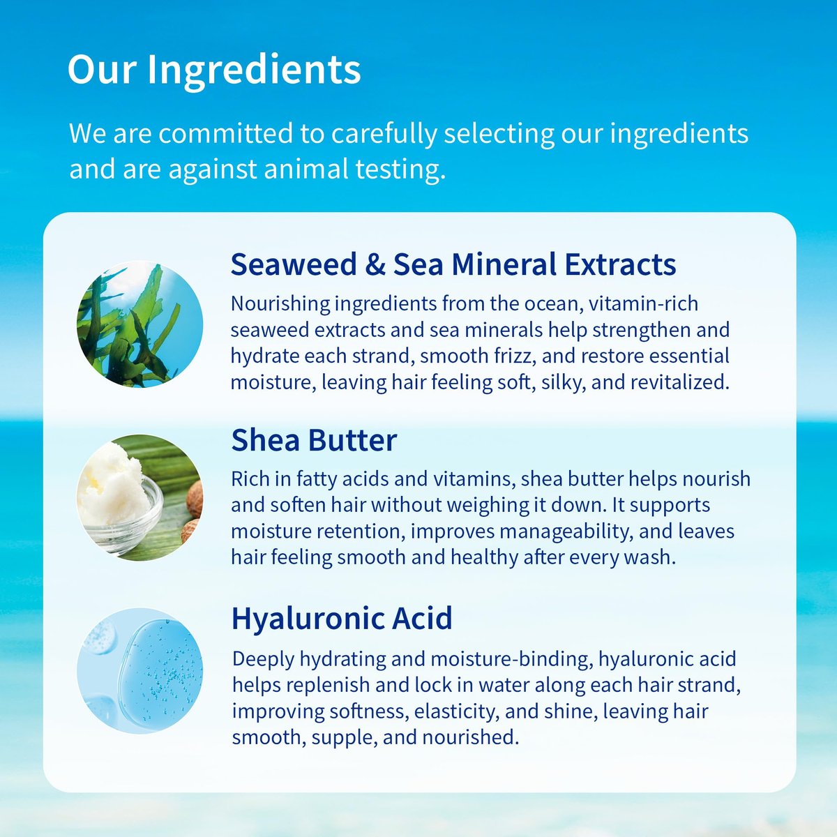 Inis the Energy of the Sea - Sea Mineral Conditioner, Silicone Free with Seaweed Extracts, Shea Butter & Hyaluronic Acid, Ocean Fresh Scent, 8.5 fl oz Avelisse