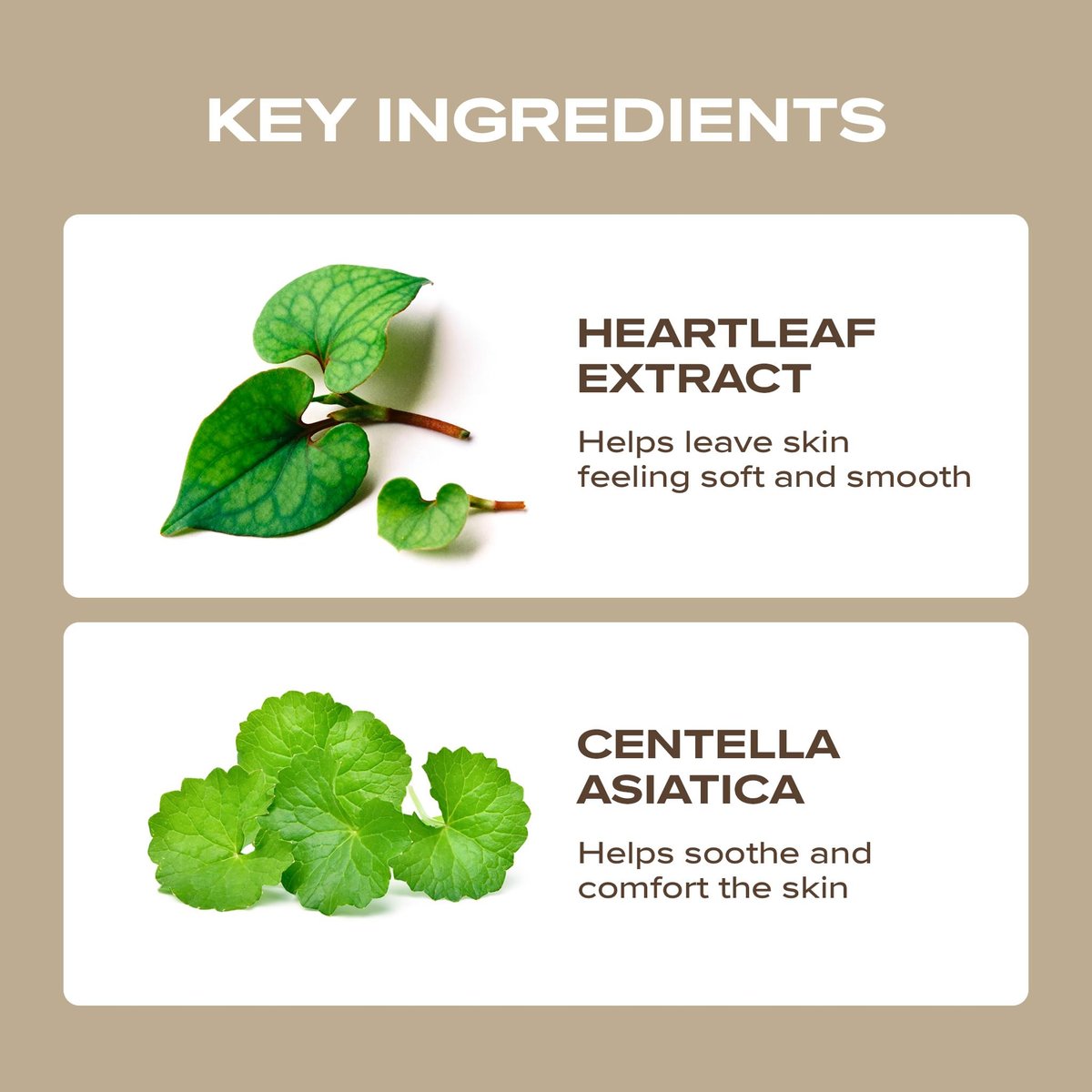 Blanc Nature Heartleaf Calming Toner – Soothing & Hydrating Toner with Heartleaf Extract, Centella Asiatica & Panthenol for All Skin Types – Korean Glass Skin Toner, 150 ml Avelisse