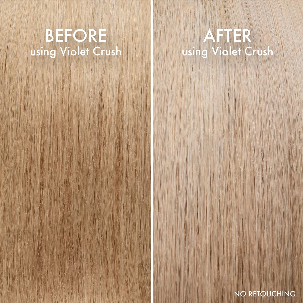John Frieda Violet Crush Purple Shampoo and Conditioner Bundle - 8.3 Fl Oz Each (Pack of 2) Avelisse