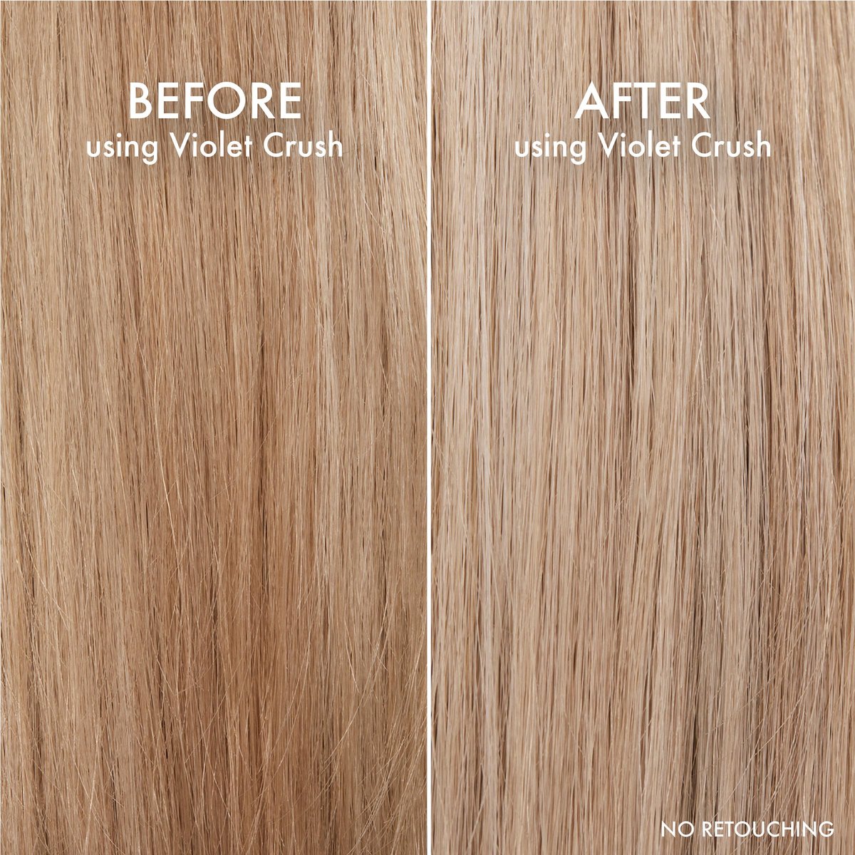 John Frieda Violet Crush Purple Shampoo and Conditioner Bundle - 8.3 Fl Oz Each (Pack of 2) Avelisse
