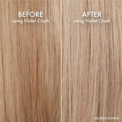 John Frieda Violet Crush Purple Shampoo and Conditioner Bundle - 8.3 Fl Oz Each (Pack of 2) Avelisse