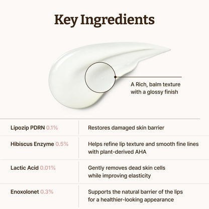 Dr.Reju-All Advanced PDRN Rejuvenating Lip Serum – Hydrating Lip Balm with Lipozip PDRN for Glowy, Dewy Lips – Gentle Exfoliating & Smoothing Lip Moisturizer – Hibiscus & Lactic Acid – 0.3 Fl Oz Avelisse