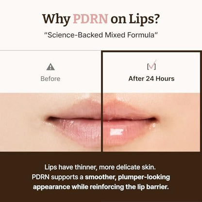 Dr.Reju-All Advanced PDRN Rejuvenating Lip Serum – Hydrating Lip Balm with Lipozip PDRN for Glowy, Dewy Lips – Gentle Exfoliating & Smoothing Lip Moisturizer – Hibiscus & Lactic Acid – 0.3 Fl Oz Avelisse