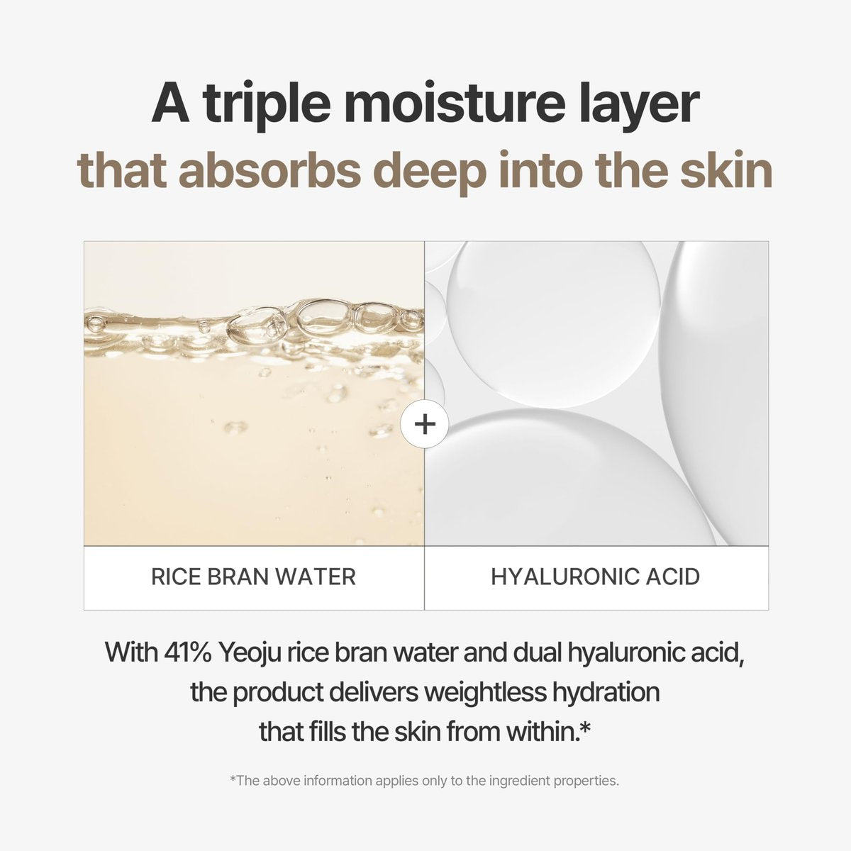 I'm From Rice Cream - Hydrating Face Moisturizer with Rice Water & Ceramide, Lightweight Barrier Cream for Dry & Combination Skin, Korean Skincare 1.69 fl oz Avelisse
