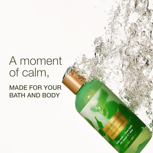 Bath & Body Works Eucalyptus Spearmint Body Wash & Foam Bath 2-Pack – Aromatherapy Cleanser with Vitamin E & Aloe, 10 fl oz Each Avelisse