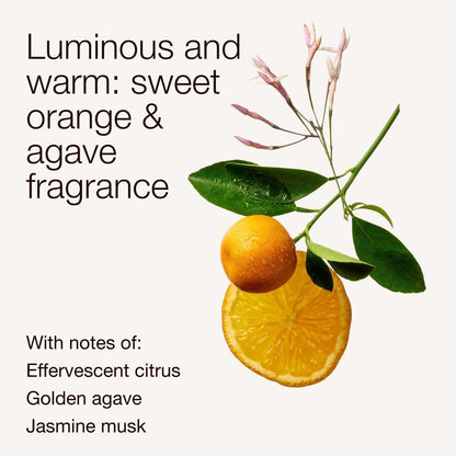 Bath & Body Works Gentle & Clean Foaming Hand Soap, Sweet Orange & Agave Citrus Scent, Non-Drying, Sulfate-Free & Paraben-Free, 8.75 fl oz (2-Pack)