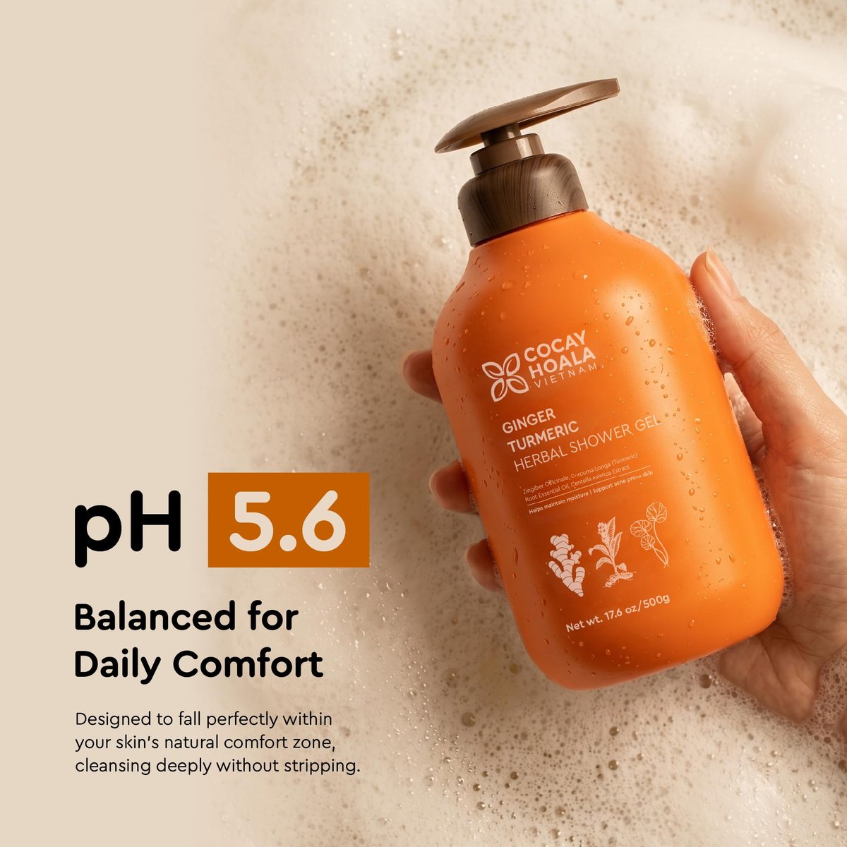 Turmeric Exfoliating Body Wash with Ginger & Centella – Gentle Shower Gel for Sensitive Skin, Moisturizing Deep Cleansing, Paraben & Silicone Free, 17.64 oz Avelisse