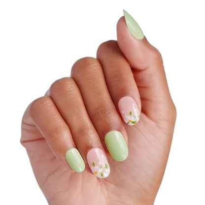 Kiss imPRESS Velvet Bunny Press-On Nails – No Glue Mani, Short Oval Shape, Green/Beige, 30 Nails Avelisse