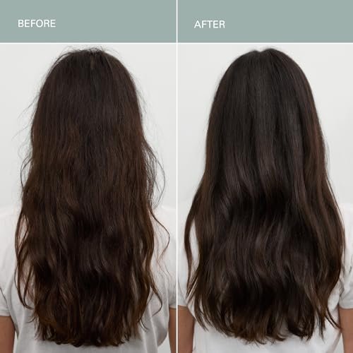 RŌZ Foundation Shampoo and Conditioner Set Duo - Sulfate-Free Hydrating Shampoo and Conditioner for Women & Men - All Hair Types | Vegan, Color-Safe, Silicone & Paraben-Free | 10.1 oz Each Avelisse