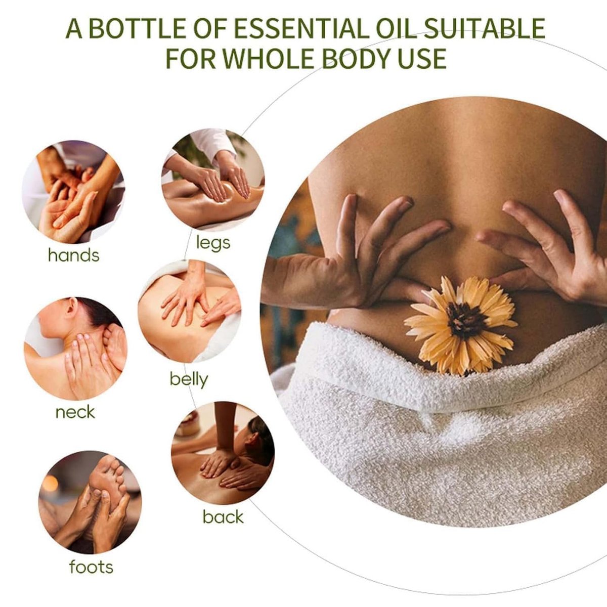 Hydrating Collagen Oil for Body & After Shower | Visible Anti-Aging Moisturizer for Women & Men, Lightweight Non-Greasy, Helps Soften Crepey Skin, 3.38 Fl Oz Avelisse