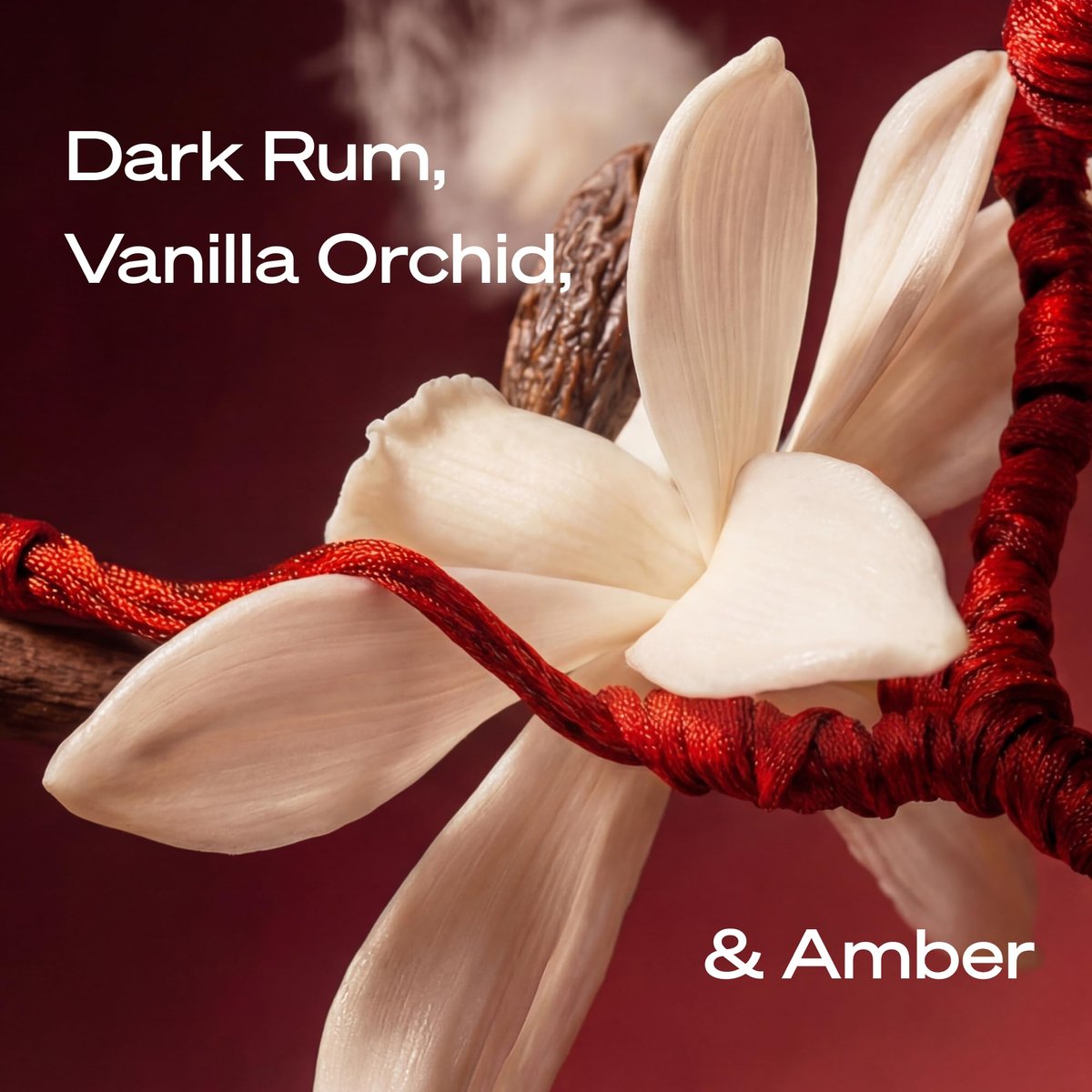 STRING THEORY Pheromone Roll On Perfume Oil for Women - Spicy & Sweet Vanilla Amber Boozy Gourmand Musk - Dark Rum, Vanilla, Creamy Tonka Bean - Long-Lasting Fragrance - Pheromones Phero-Mimetic Oil Avelisse