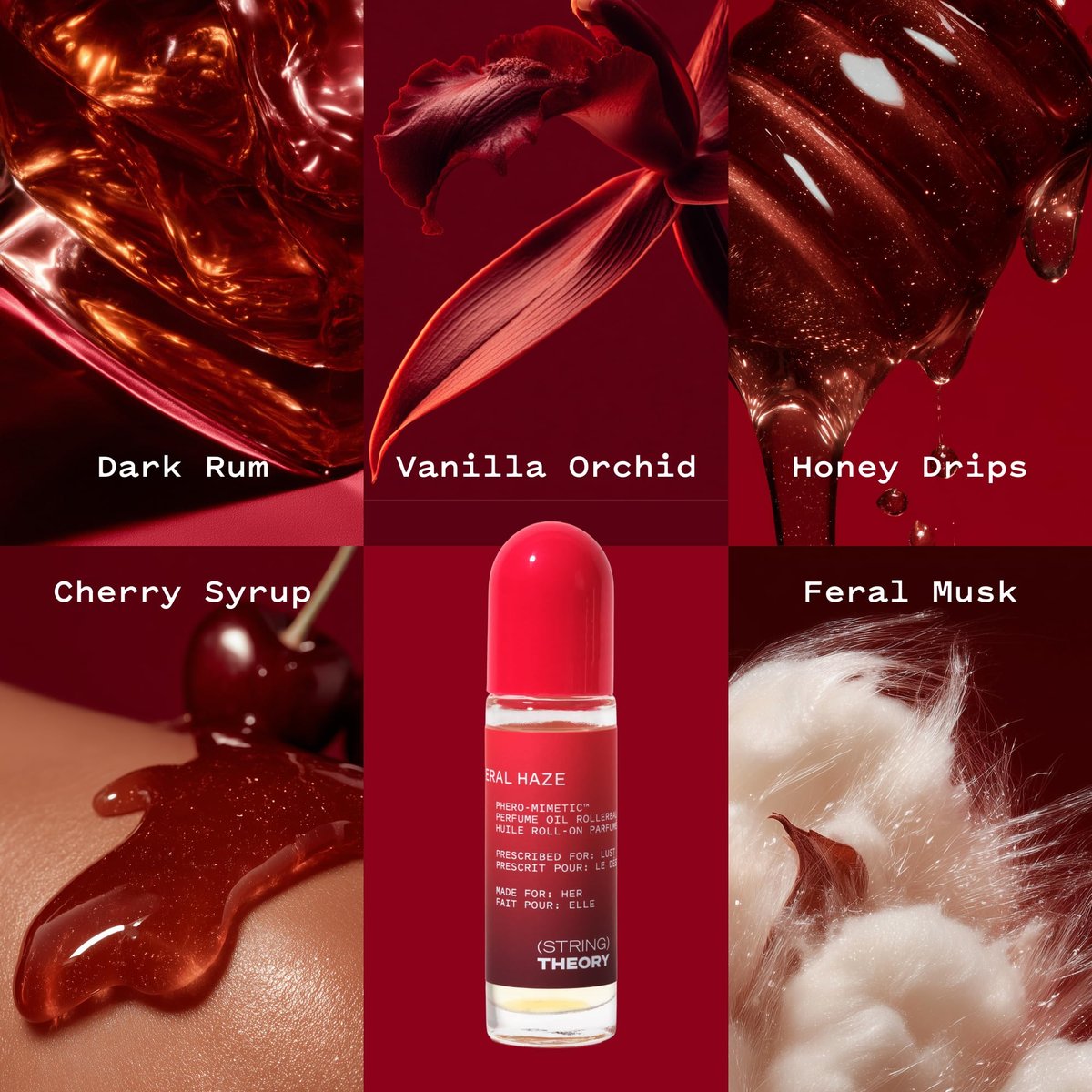 STRING THEORY Pheromone Roll On Perfume Oil for Women - Spicy & Sweet Vanilla Amber Boozy Gourmand Musk - Dark Rum, Vanilla, Creamy Tonka Bean - Long-Lasting Fragrance - Pheromones Phero-Mimetic Oil Avelisse