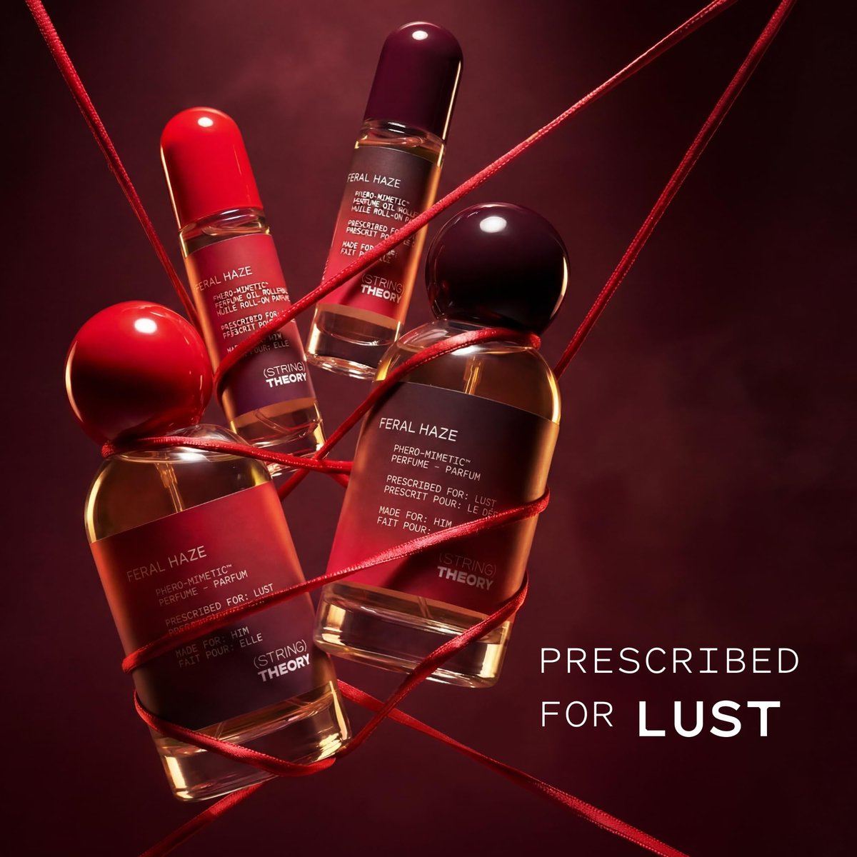 STRING THEORY Pheromone Roll On Perfume Oil for Women - Spicy & Sweet Vanilla Amber Boozy Gourmand Musk - Dark Rum, Vanilla, Creamy Tonka Bean - Long-Lasting Fragrance - Pheromones Phero-Mimetic Oil Avelisse