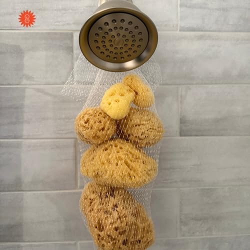 Spa Destinations Natural Sea Sponge Family Variety Pack – 6-Piece Set with Sea Wool, Yellow Sea Sponge & Silk Facial Sponges - görsel 4