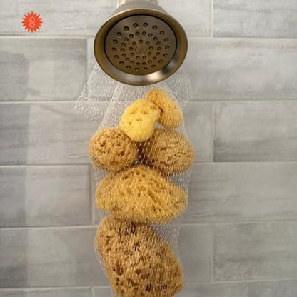 Spa Destinations Natural Sea Sponge Family Variety Pack – 6-Piece Set with Sea Wool, Yellow Sea Sponge & Silk Facial Sponges