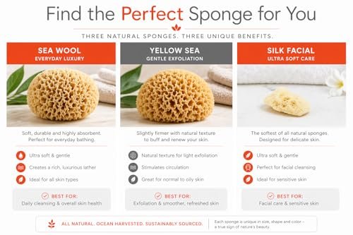 Spa Destinations Natural Sea Sponge Family Variety Pack – 6-Piece Set with Sea Wool, Yellow Sea Sponge & Silk Facial Sponges - görsel 10