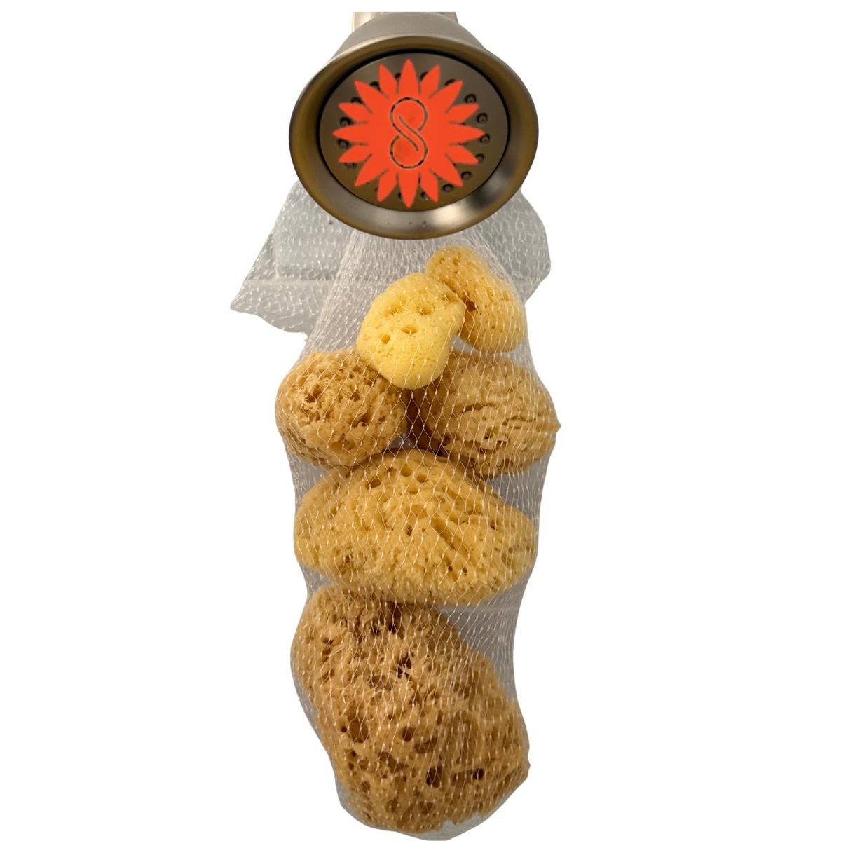 Spa Destinations Natural Sea Sponge Family Variety Pack – 6-Piece Set with Sea Wool, Yellow Sea Sponge & Silk Facial Sponges - görsel 1