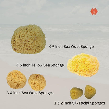 Spa Destinations Natural Sea Sponge Family Variety Pack – 6-Piece Set with Sea Wool, Yellow Sea Sponge & Silk Facial Sponges
