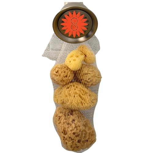 Spa Destinations Natural Sea Sponge Family Variety Pack – 6-Piece Set with Sea Wool, Yellow Sea Sponge & Silk Facial Sponges - görsel 2