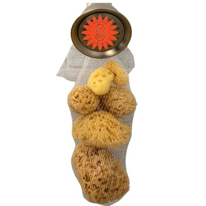 Spa Destinations Natural Sea Sponge Family Variety Pack – 6-Piece Set with Sea Wool, Yellow Sea Sponge & Silk Facial Sponges