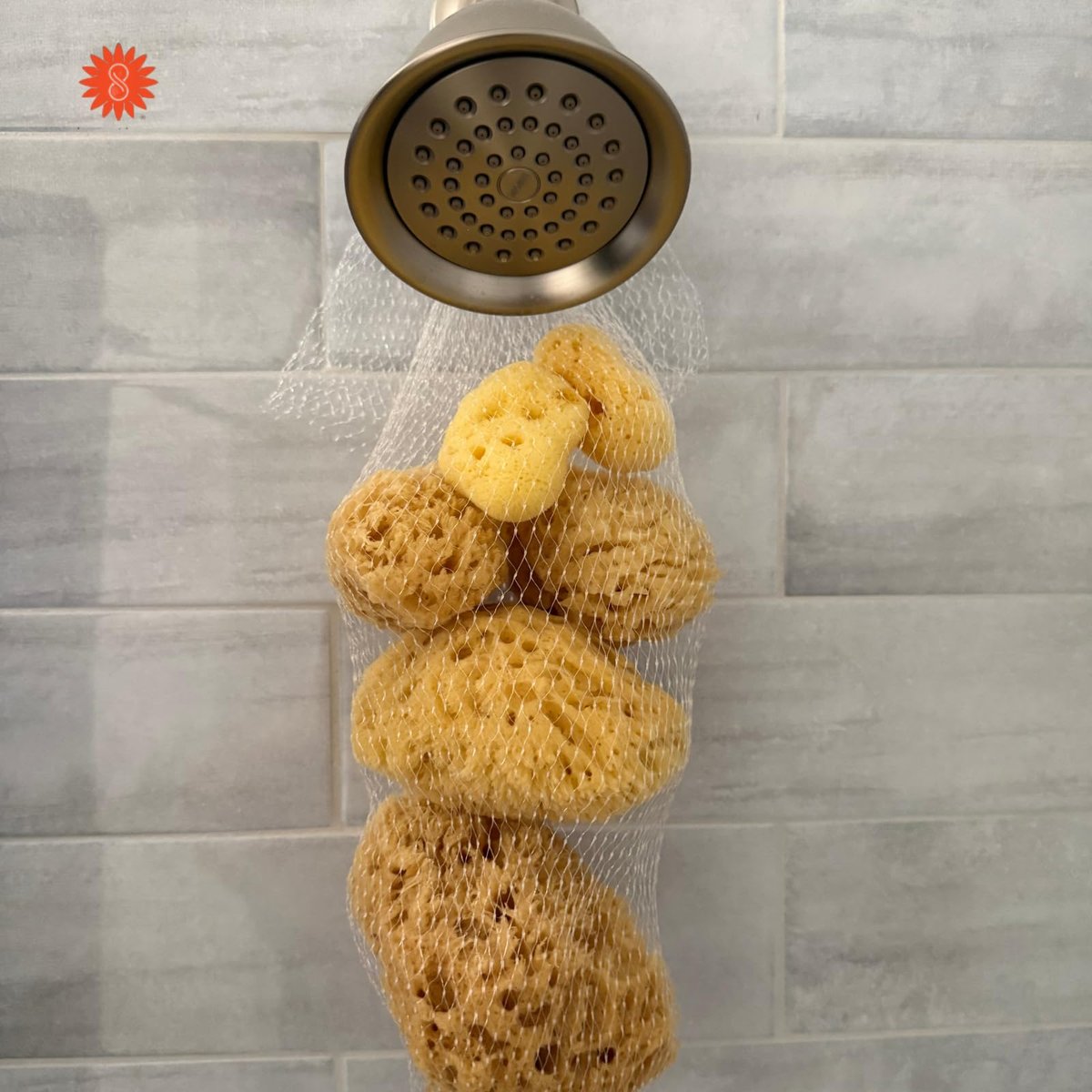 Spa Destinations Natural Sea Sponge Family Variety Pack – 6-Piece Set with Sea Wool, Yellow Sea Sponge & Silk Facial Sponges - görsel 3
