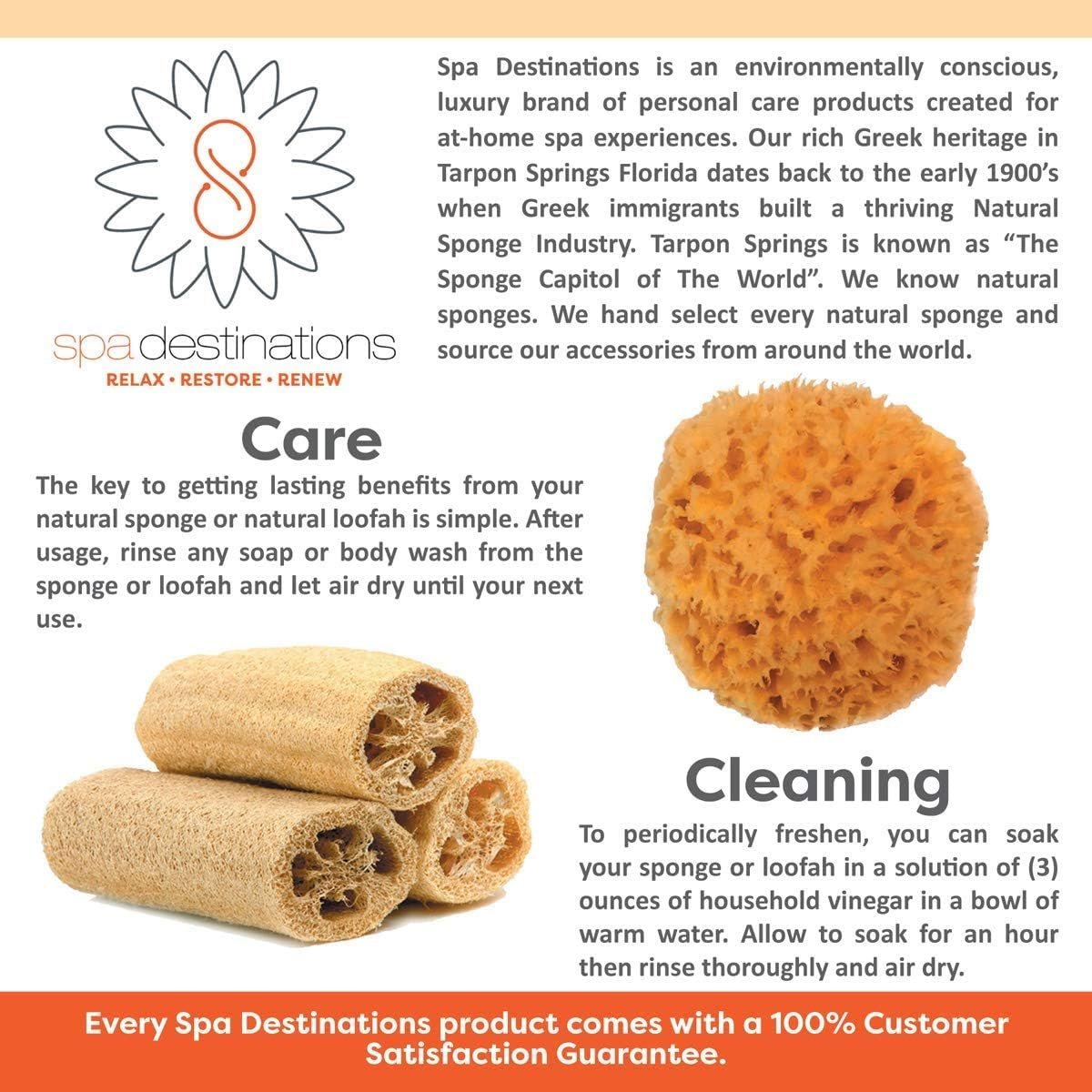 Spa Destinations Natural Sea Sponge Family Variety Pack – 6-Piece Set with Sea Wool, Yellow Sea Sponge & Silk Facial Sponges - görsel 5